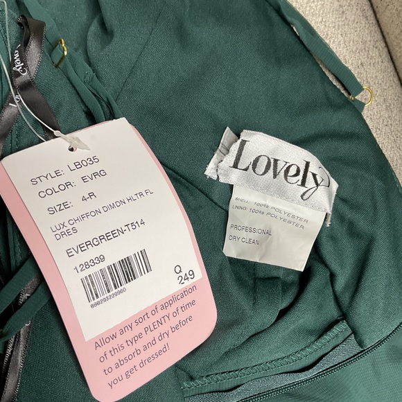 Dessy Lovely Lux Chiffon Halter backless Adjust Strap Maxi Evergreen Dress NWT 4 - Picture 7 of 9